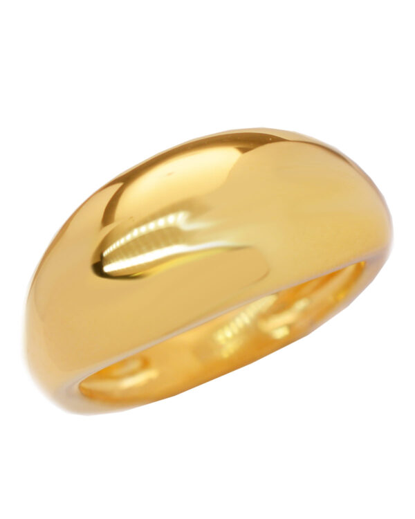 Ένα όμορφο και μοντέρνο δαχτυλίδι από επιχρυσωμένο ασήμι 925 της σειράς KIKI. Δώστε στυλ στην εμφάνισή σας με αυτό το υπέροχο κόσμημα.